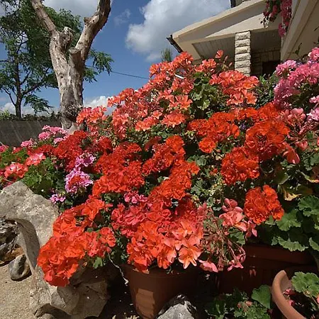 Apartment Soline Privlaka (Zadar)