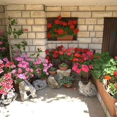 Apartment Soline Privlaka (Zadar)